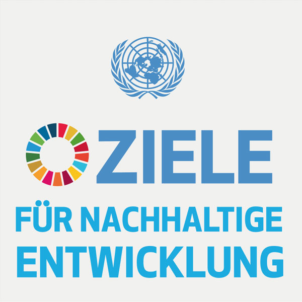 Ziele für nachhaltige Entwicklung Logo